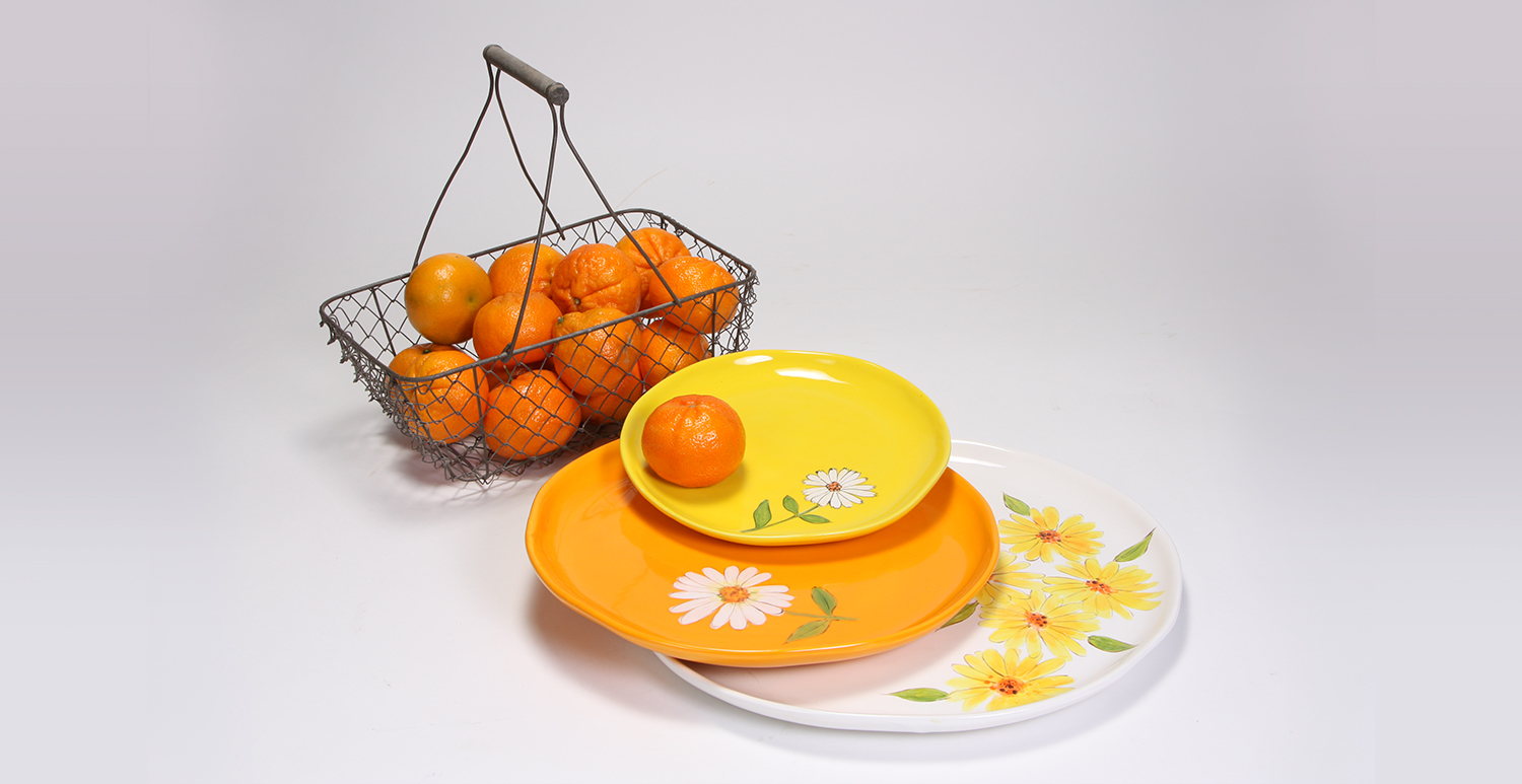 Colorful Daisy Plates