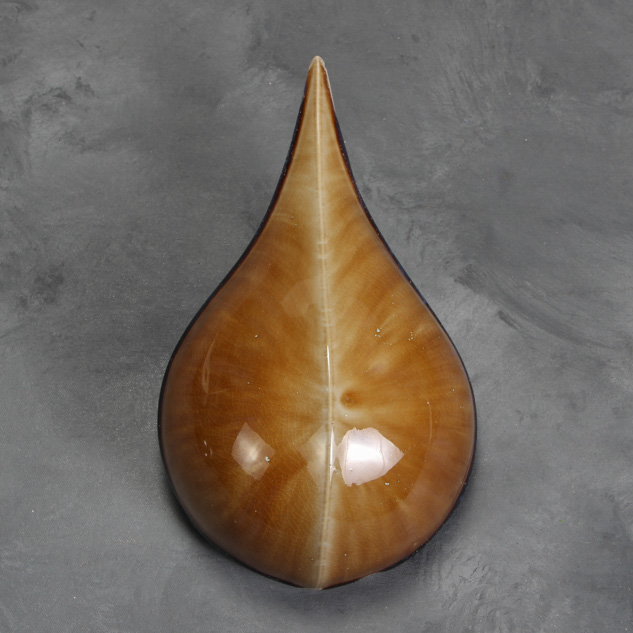 SW-170 Blue Hydrangea over SW-106 Alabaster