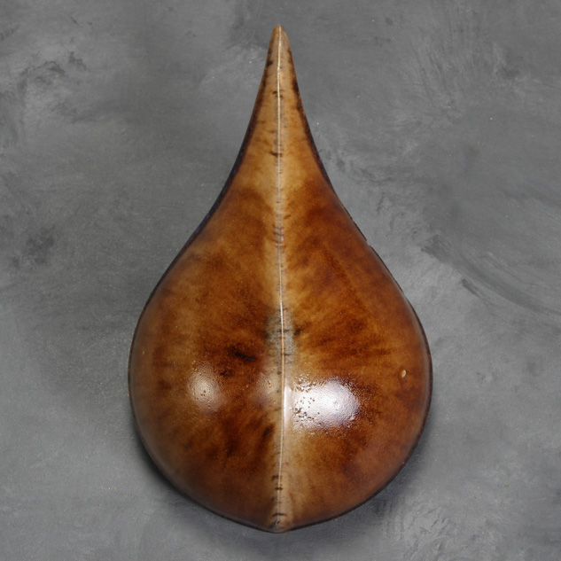 SW-176 Sandstone over SW-143 Abalone
